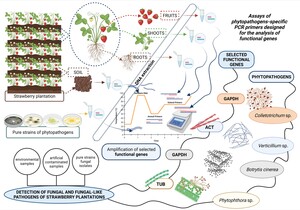 Figure from article: Molecular approach for the...