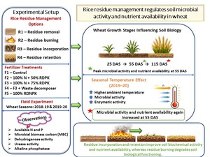 Figure from article: Temperature-mediated soil...