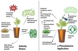 Figure from article: Role of...