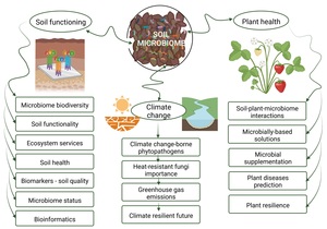 Figure from article: Soil microbiome as an...