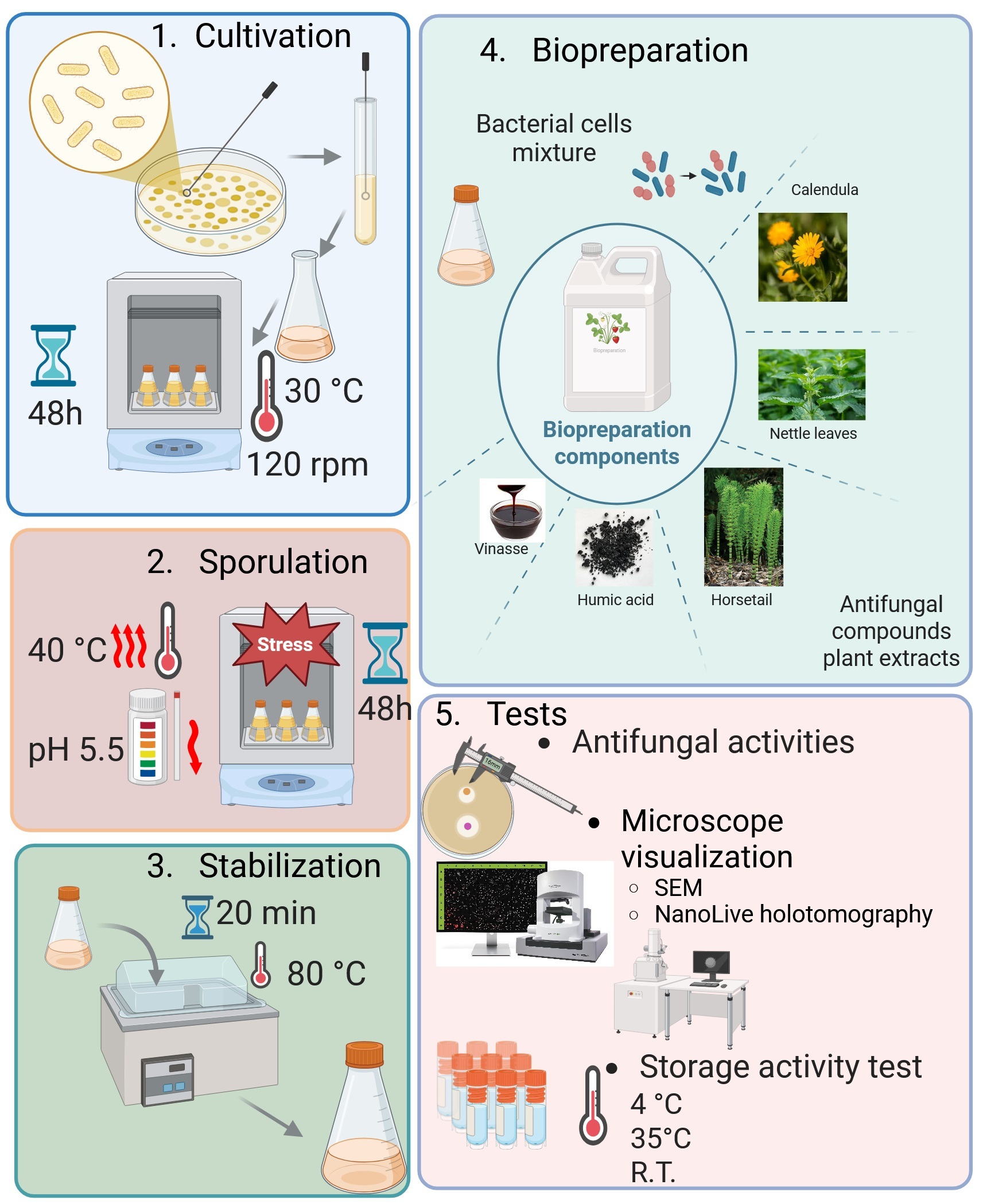 Figure from article: Harnessing <i>Bacillus</i>...